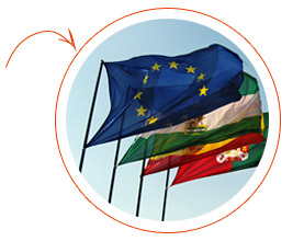 Перевод сайта на множество иностранных языков